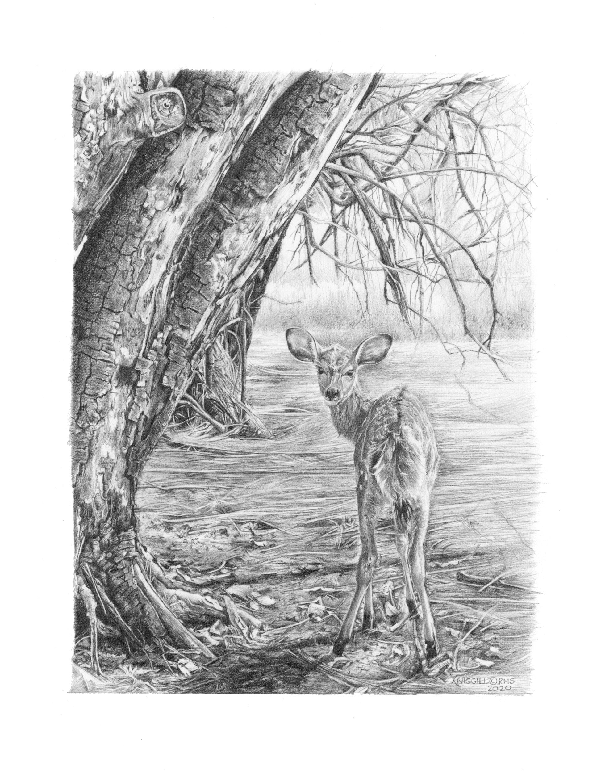 Karyn Wiggill - In situ